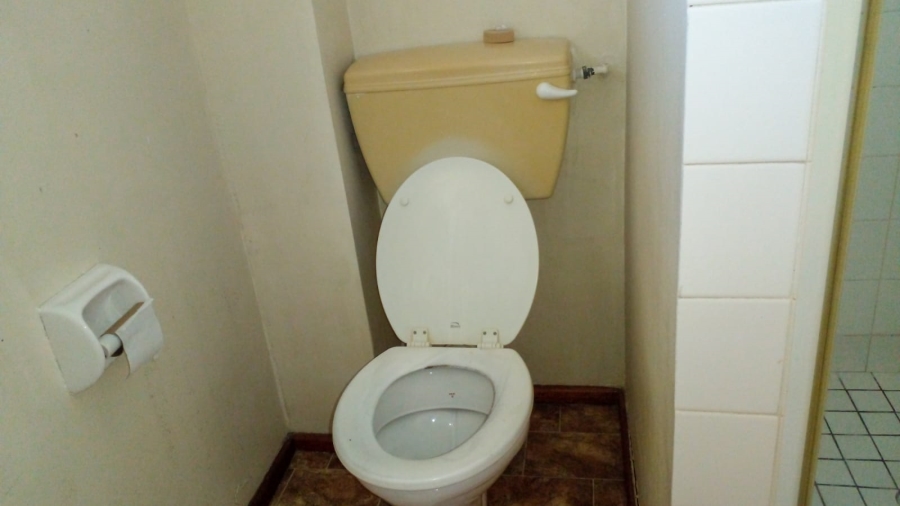 To Let 3 Bedroom Property for Rent in Pinelands Western Cape
